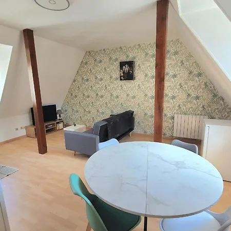 公寓 Le Twilly 塞尔奈